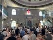 Alternate Text