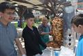 Alternate Text