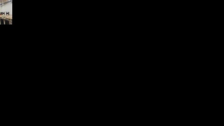 Alternate Text