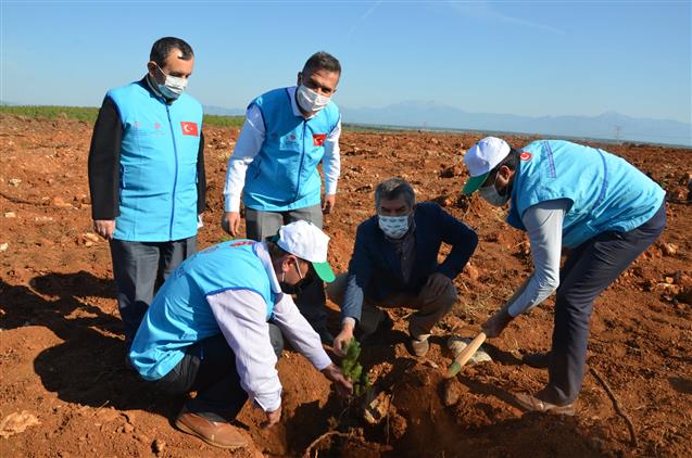 Antalya Da 11 Kasim Milli Agaclandirma Gunu Verimli Gecti