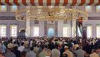 Alternate Text