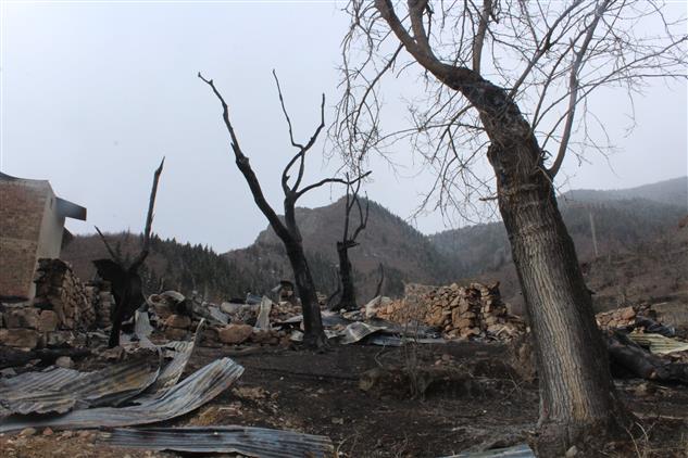 artvin muftulugu diyanet isleri baskanligi