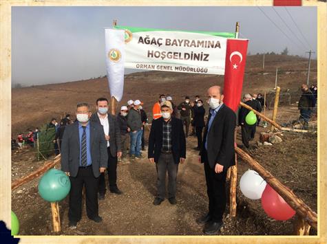 Dursunbey Muftulugu