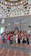 Alternate Text