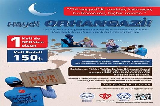 bursa orhangazi aras kargo telefon numarasi