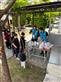 Alternate Text