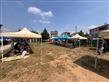 Alternate Text