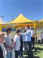 Alternate Text