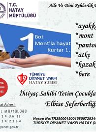 Hatay Muftulugu