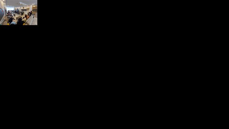 Alternate Text