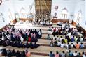 Alternate Text