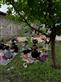 Alternate Text