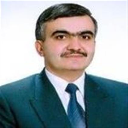 bayram celik