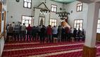 Alternate Text