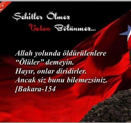 Sehitler Olmez Vatan Bolunmez Turkiye Ye Terorle Diz Cokturulemez