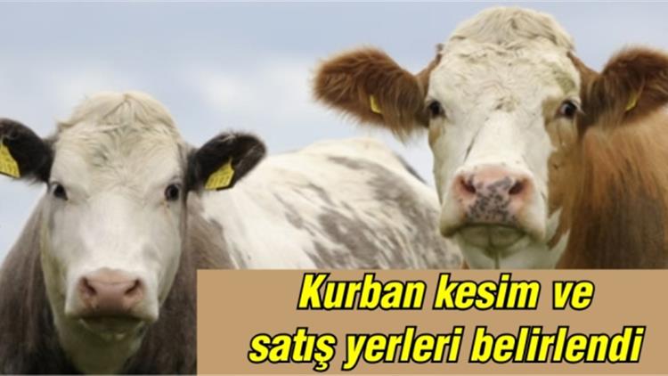 kirsehir muftulugu diyanet isleri baskanligi