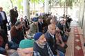 Alternate Text
