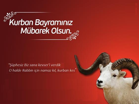 kocaeli muftulugu diyanet isleri baskanligi