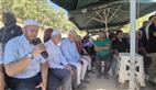 Alternate Text