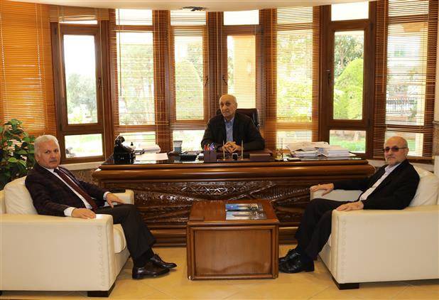 Sochli mushukning yaqindan surati