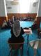 Alternate Text