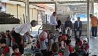 Alternate Text