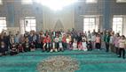 Alternate Text
