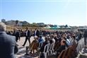 Alternate Text